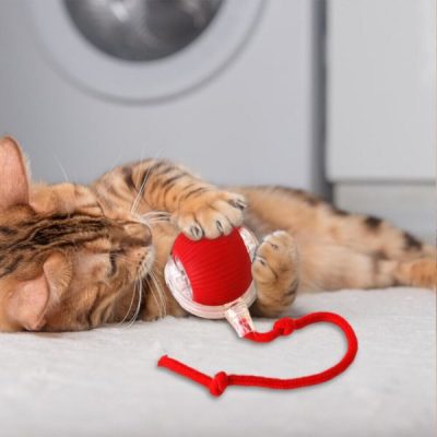 Lojë për kafshë që lëviz me prekje | GATOPLAY