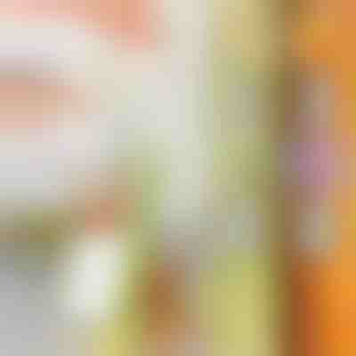 Affettatrice multifunksionale | SLICEWISE