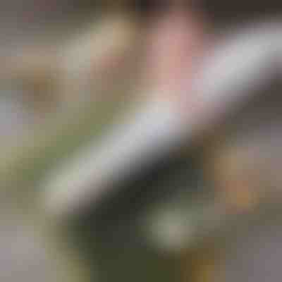 Rul për sushi të lehtë për t'u përdorur në shtëpi | SUSHROLIO