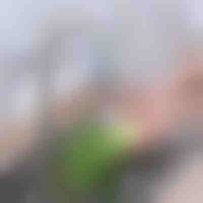 Filtër i avancuar karboni për rubinet | CHARFILTER